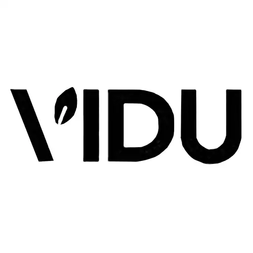 VIDU